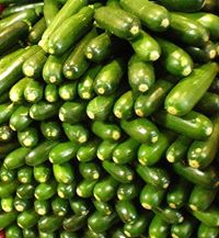 Zucchini