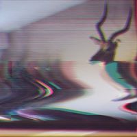 This Beautiful Republic