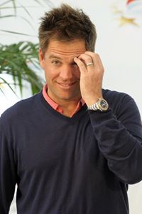 Michael Weatherly
