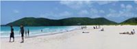 Culebra Online