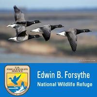 Edwin B. Forsythe National Wildlife Refuge
