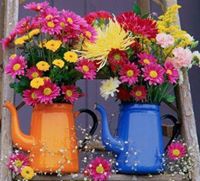 Barry Filosi Garden Care and Landscape Supply Yard