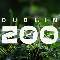 Dublin Zoo