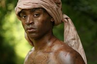 Prince Among Slaves: The Cultural Legacy of Enslaved Africans