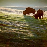 Hot Springs South Dakota