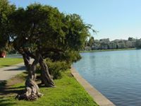 Lake Merritt, Oakland