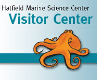 Hatfield Marine Science Center Visitor Center
