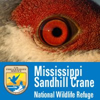 Mississippi Sandhill Crane National Wildlife Refuge