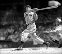 Joe Dimaggio
