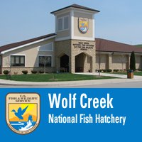 Wolf Creek National Fish Hatchery
