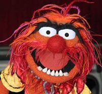 Animal From the Muppets