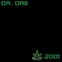 Chronic 2001