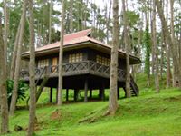 I ♥ Love MALAYBALAY CITY