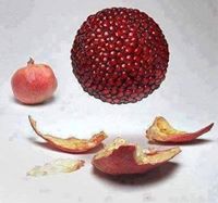 Pomegranate