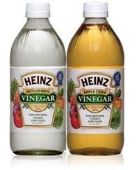Vinegar