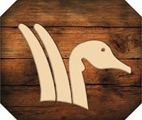 Mount Sunapee Resort