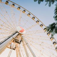 The Wheel of Brisbane