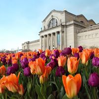 Saint Louis Art Museum