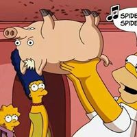 Spider Pig