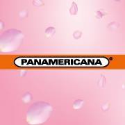 Panamericana Entretenimiento Y Cultura