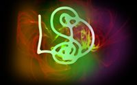 LSD