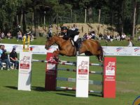 Horse Jumping