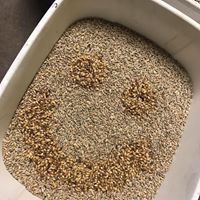 Turkey Hill Brewing Company