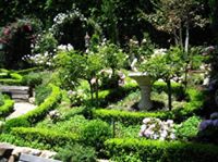 European Landscape & Garden Design