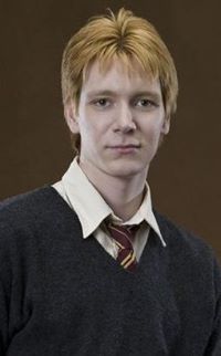 Fwddsg - Fred Weasley's Death Denial Support Group