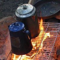 Uwharrie National Forest