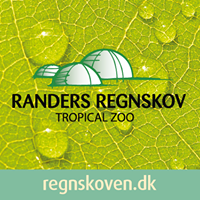 Randers Regnskov