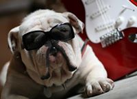 Visit Athens, Georgia