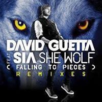 David Guetta Ft. Sia - She Wolf (Falling to Pieces)