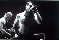 Rollins Band