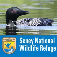 Seney National Wildlife Refuge