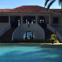 Horned Dorset Primavera