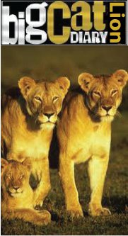 The Big Cat Diary