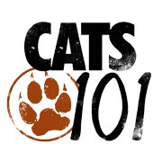Cats 101