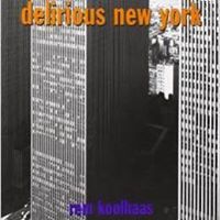 Delirious New York