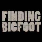 Finding Bigfoot