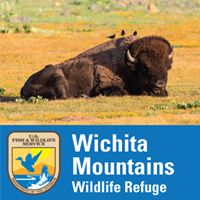 Wichita Mountains Wildlife Refuge