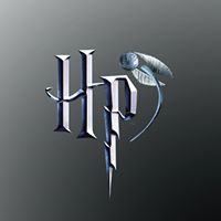 Harry Potter Et Les Reliques De La Mort