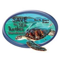 Save the Sea Turtles International