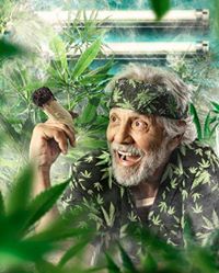 Tommy Chong