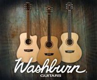 Washburn Guitars