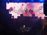 Every Rose Has Its Thorn