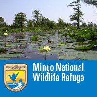 Mingo National Wildlife Refuge