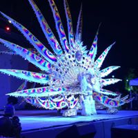 West Indian American Day Carnival Association (WIADCA)