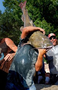 Hillbilly Hand Fishing