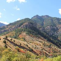 Logan Canyon